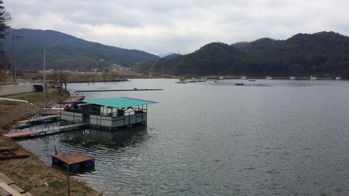 20150408_103051.jpg