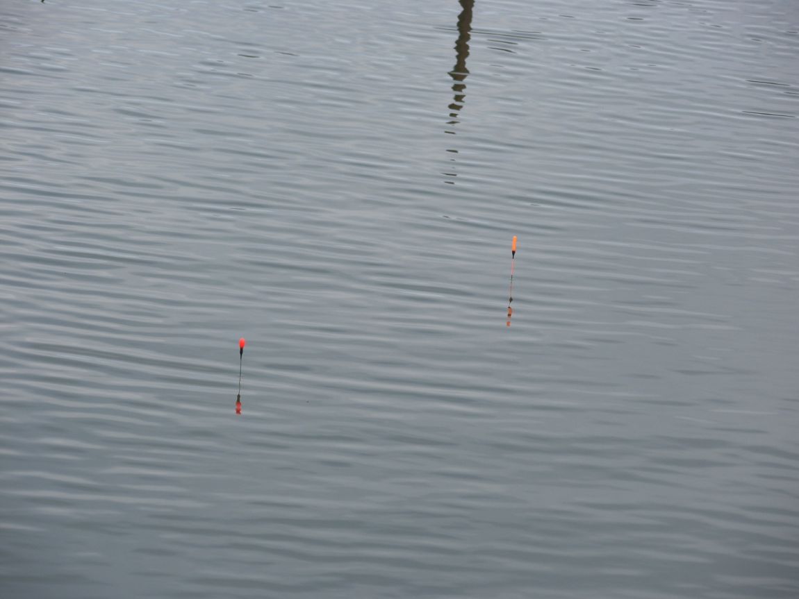 SH100356.JPG