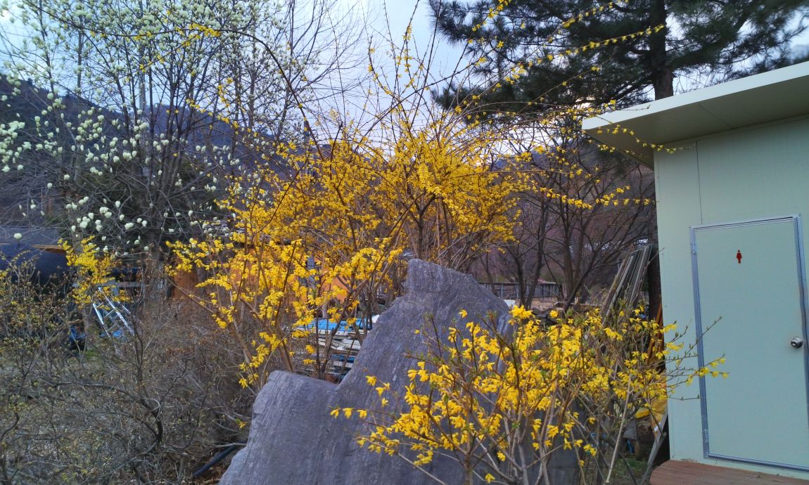 IMG_20150407_175556.jpg