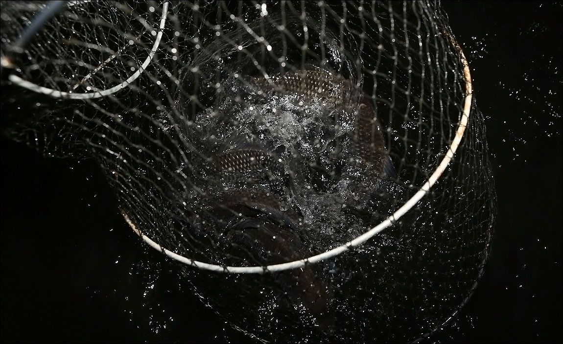 AQ8C7007.JPG