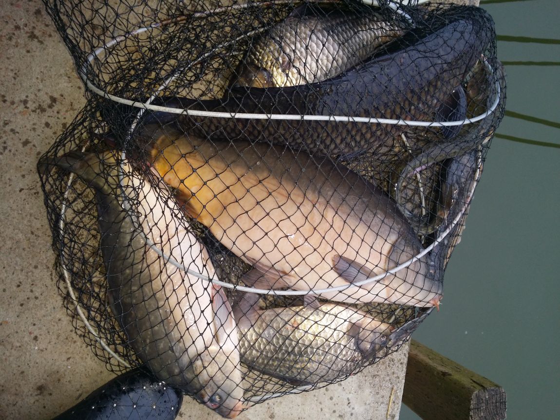 20150405_075434.jpg