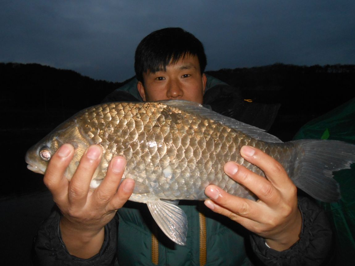 DSCN3249.JPG
