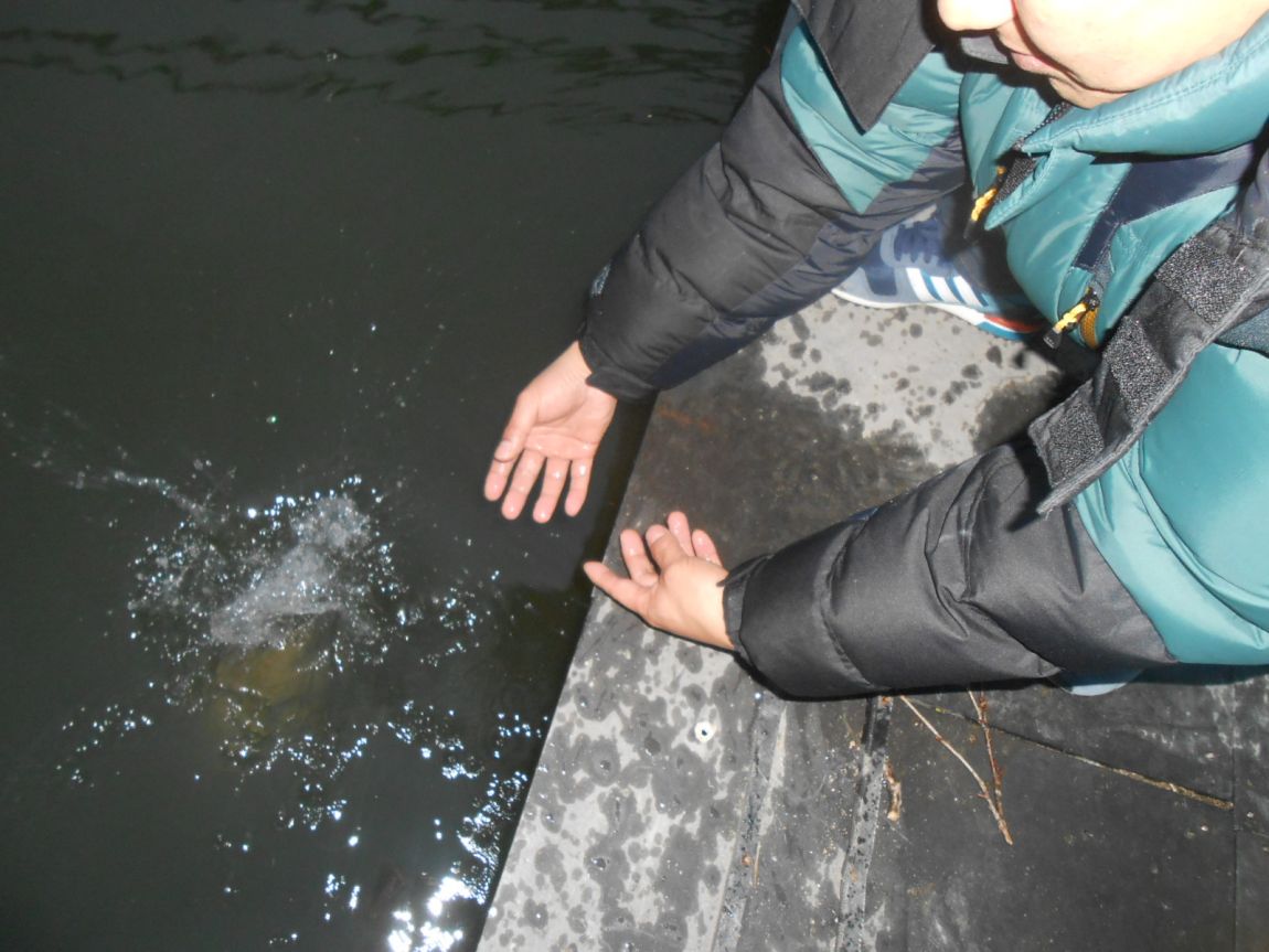DSCN3250.JPG