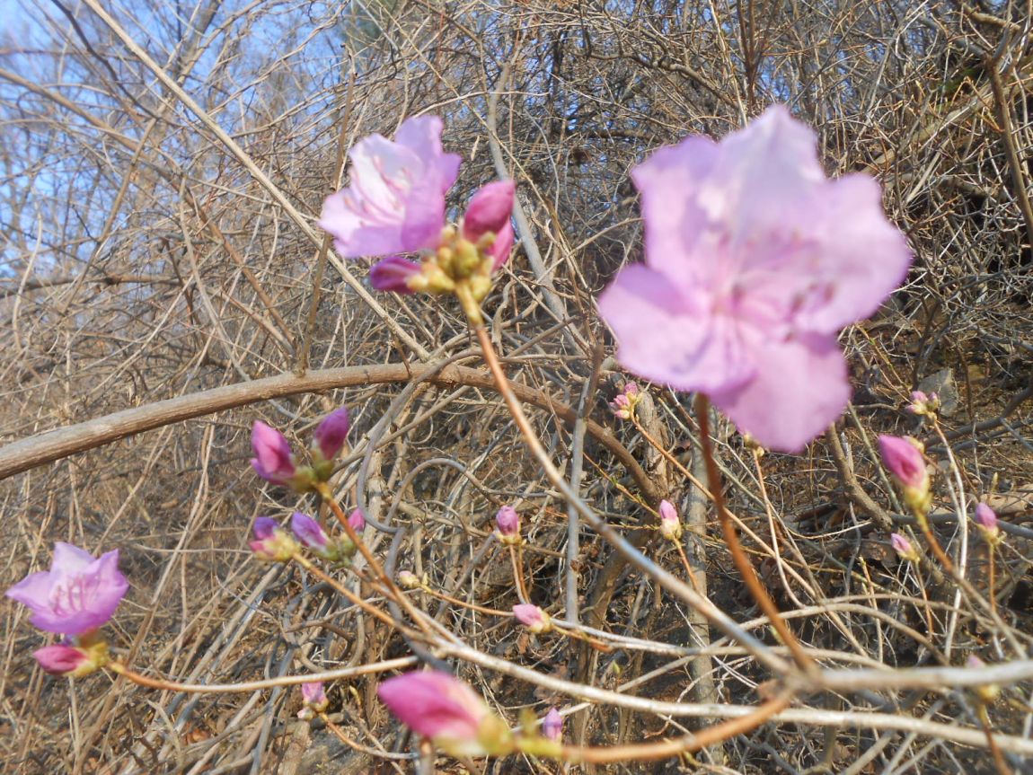 DSCN3255.JPG