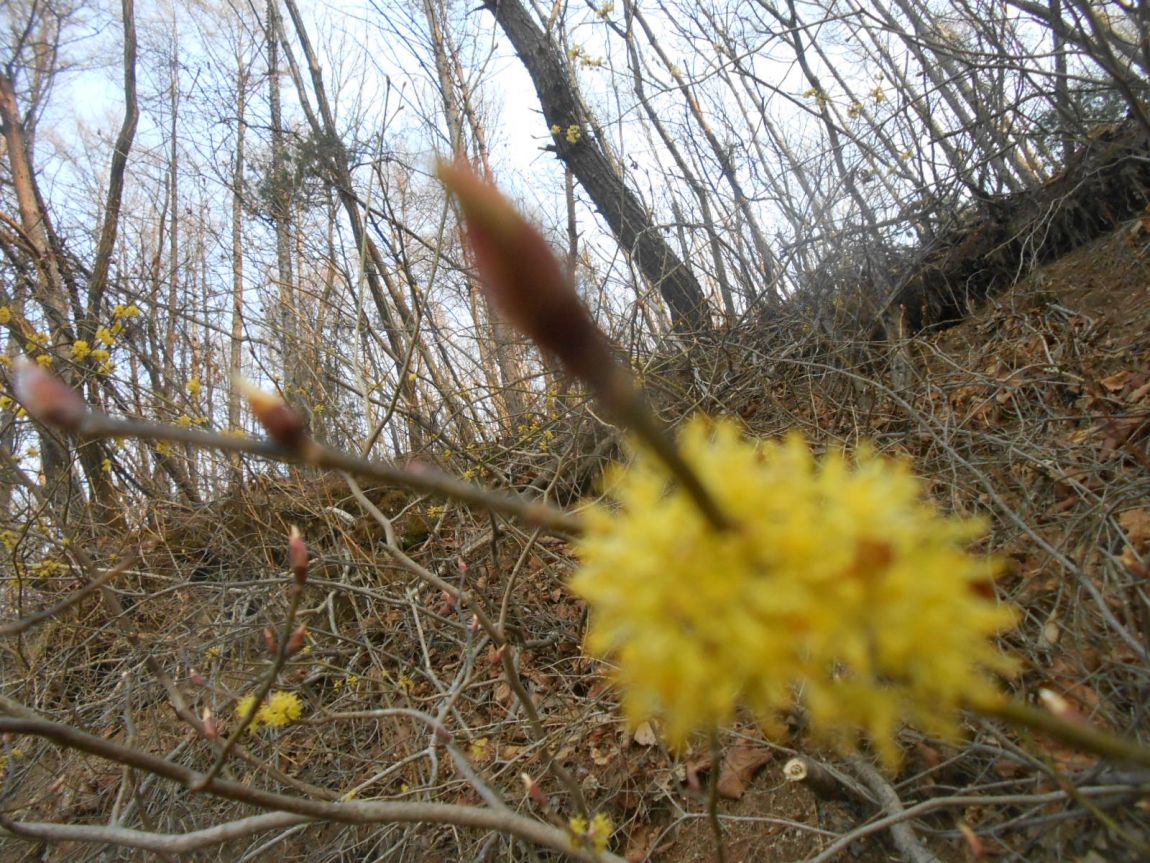 DSCN3257.JPG