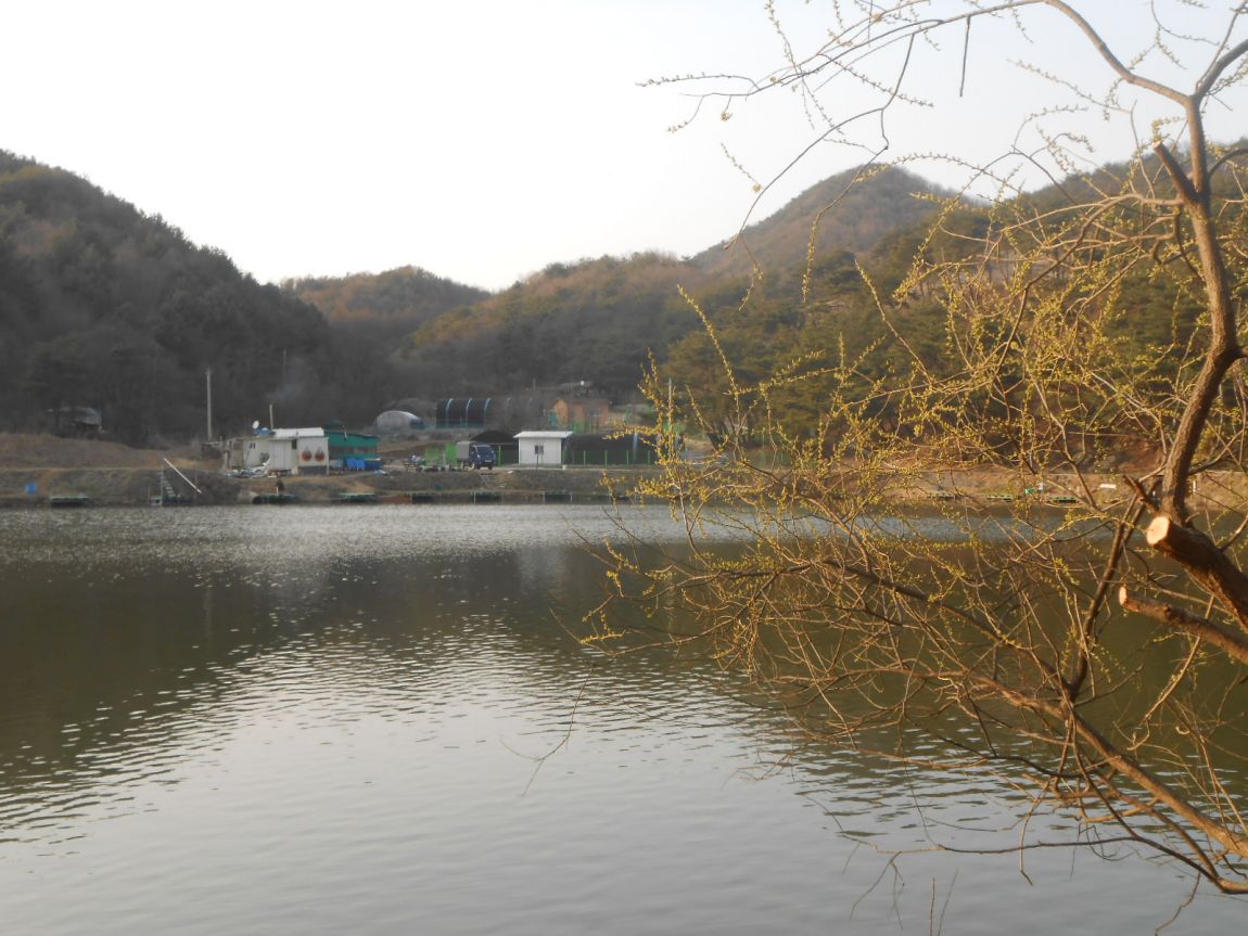 DSCN3256.JPG