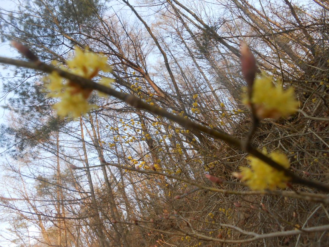 DSCN3259.JPG