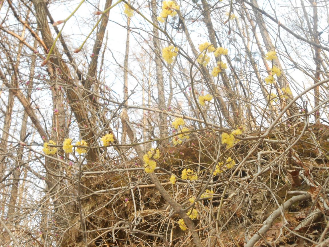 DSCN3260.JPG