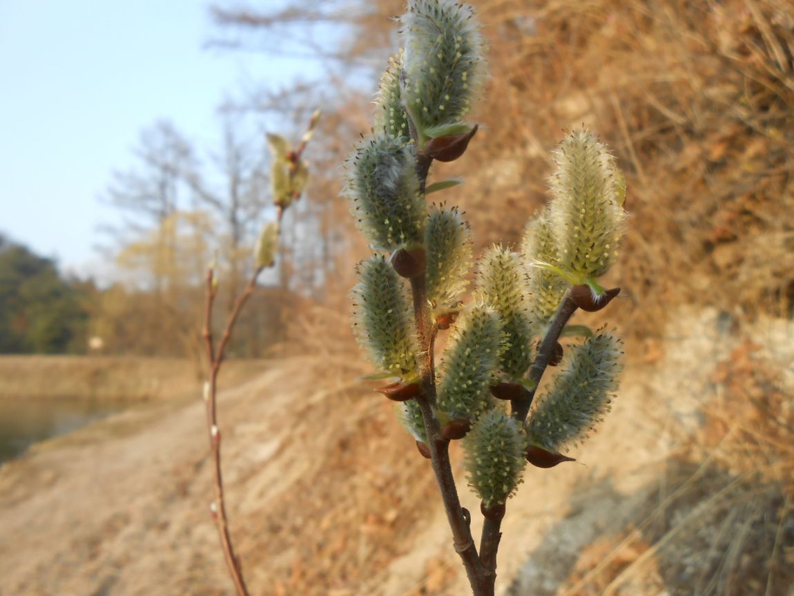 DSCN3265.JPG