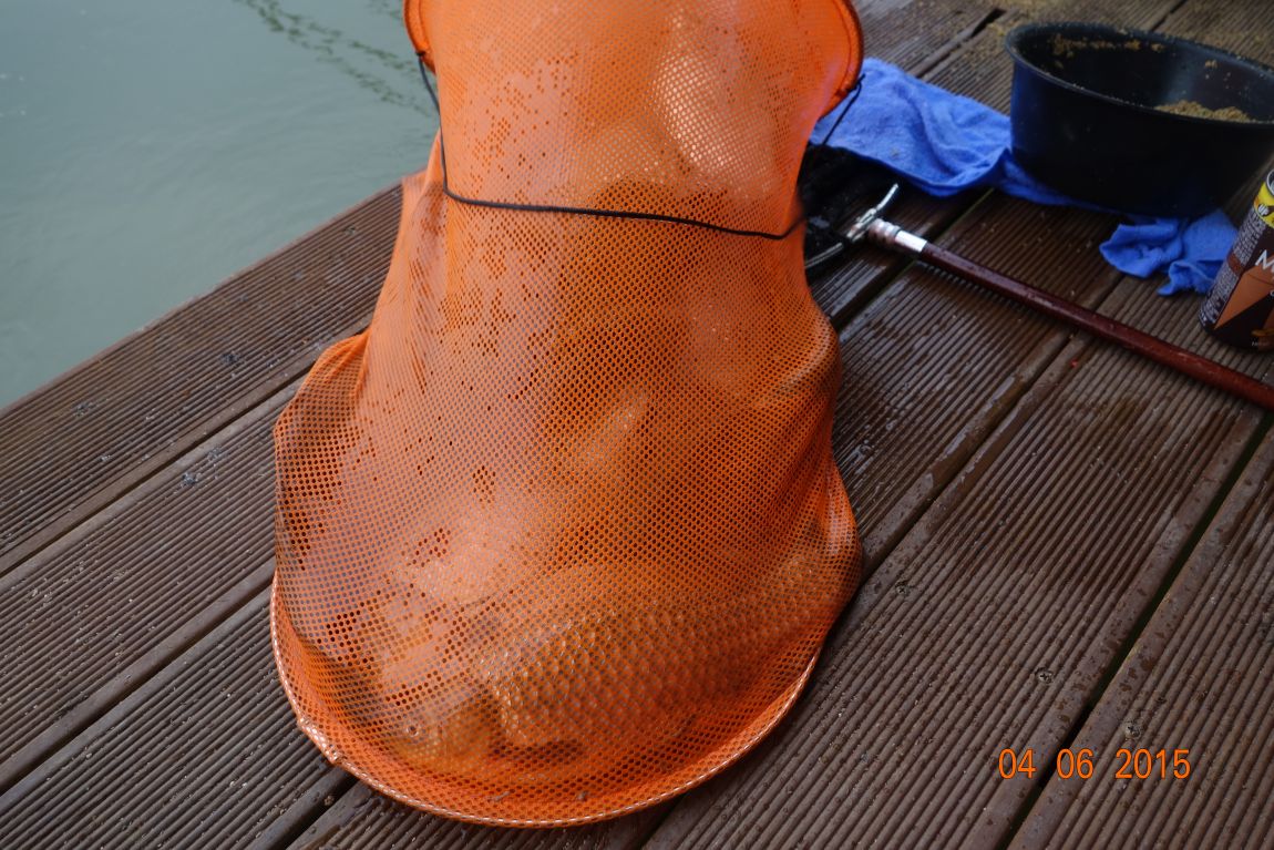 DSC04613.JPG