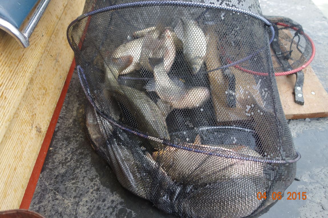 DSC04617.JPG