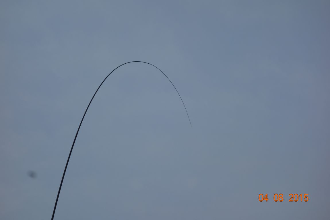 DSC04639.JPG