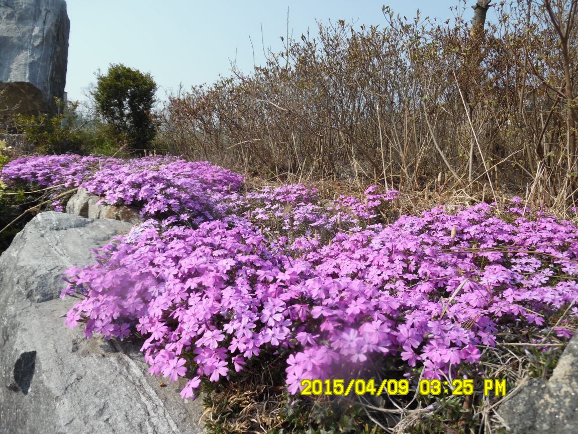 4��10�� ��Ȳ 002.JPG