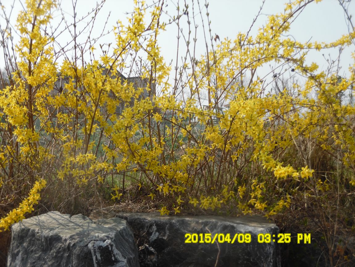 4��10�� ��Ȳ 003.JPG