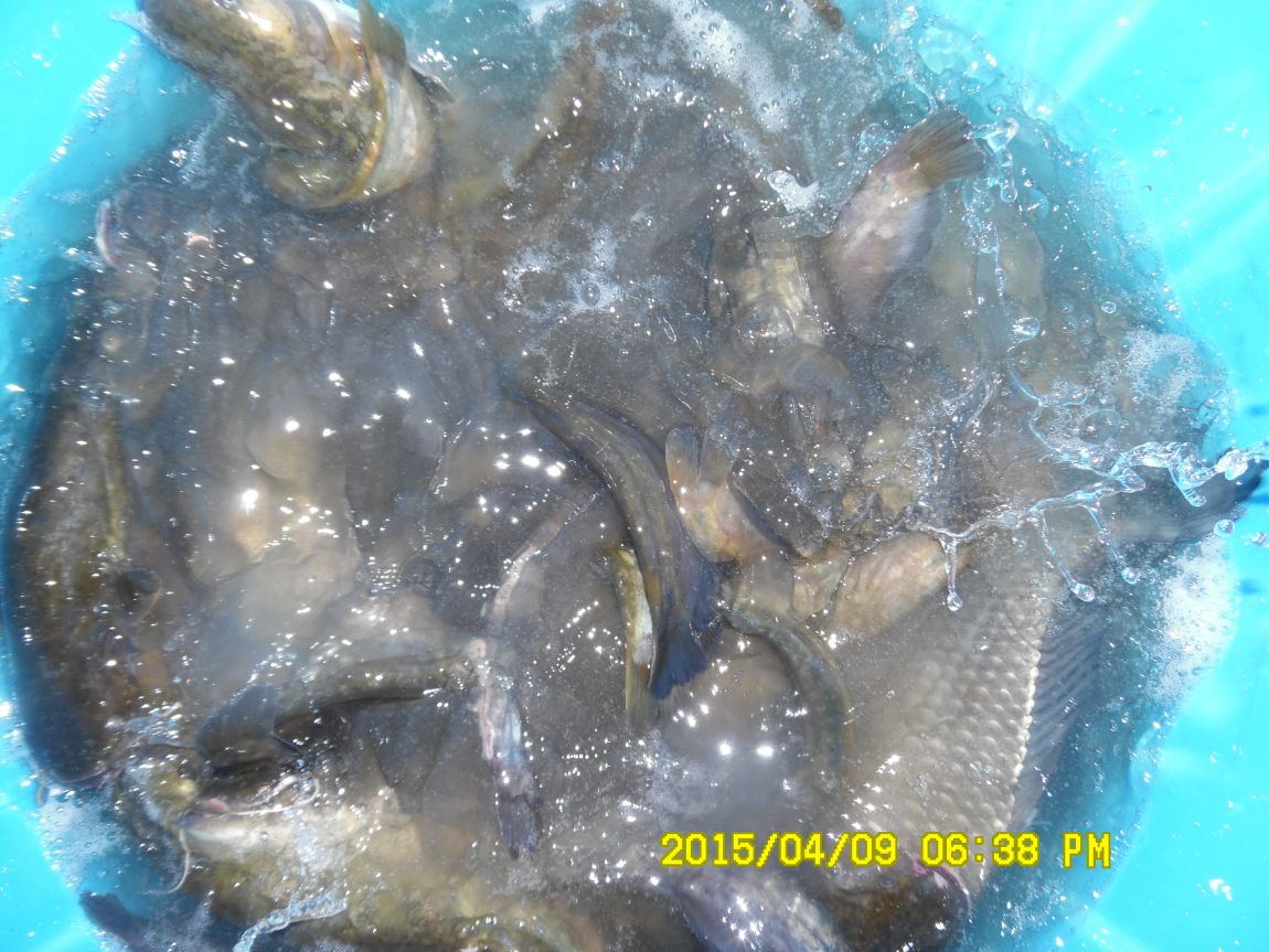 4��10�� ��Ȳ 009.JPG