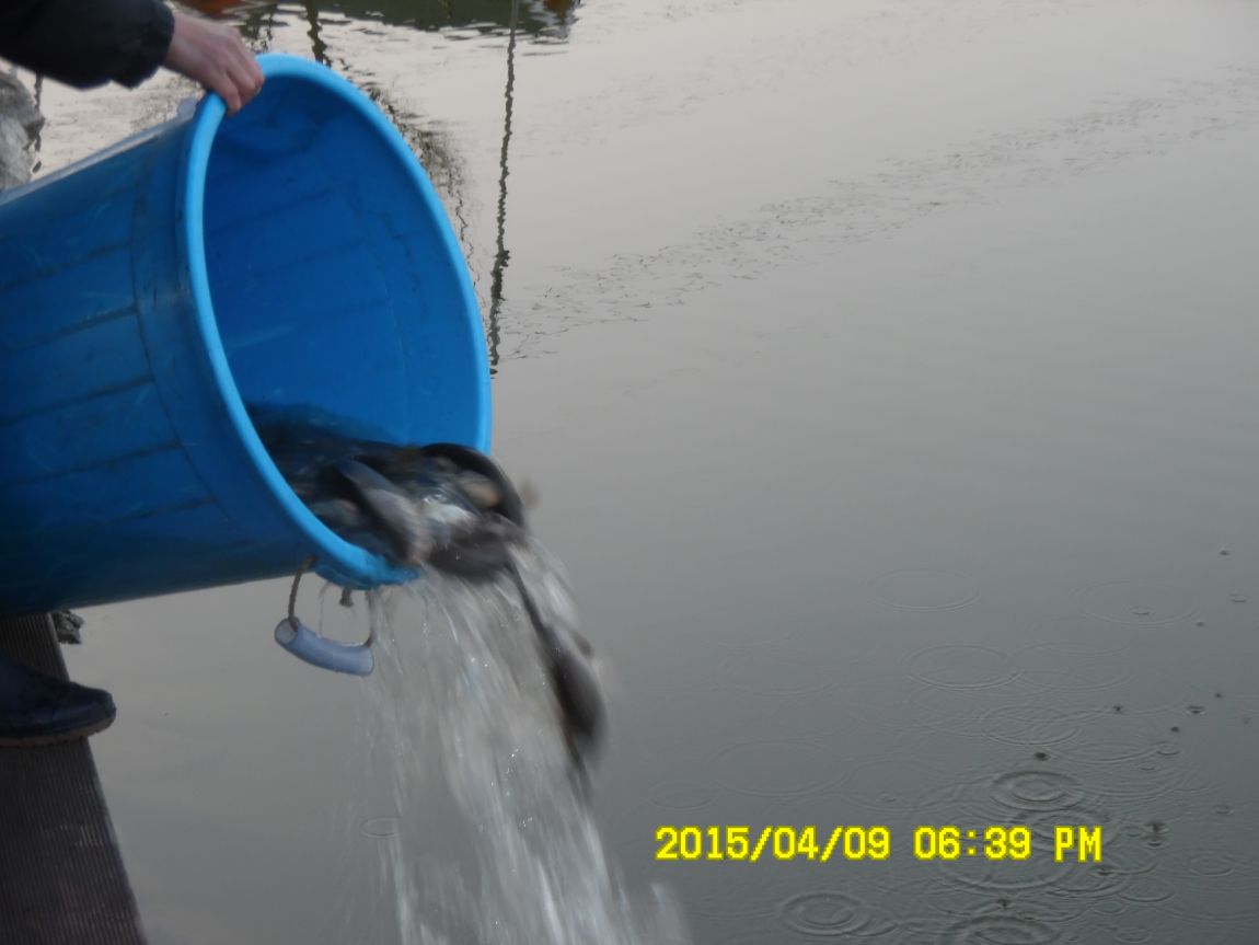 4��10�� ��Ȳ 010.JPG