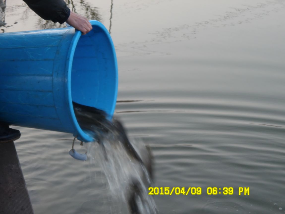 4��10�� ��Ȳ 011.JPG