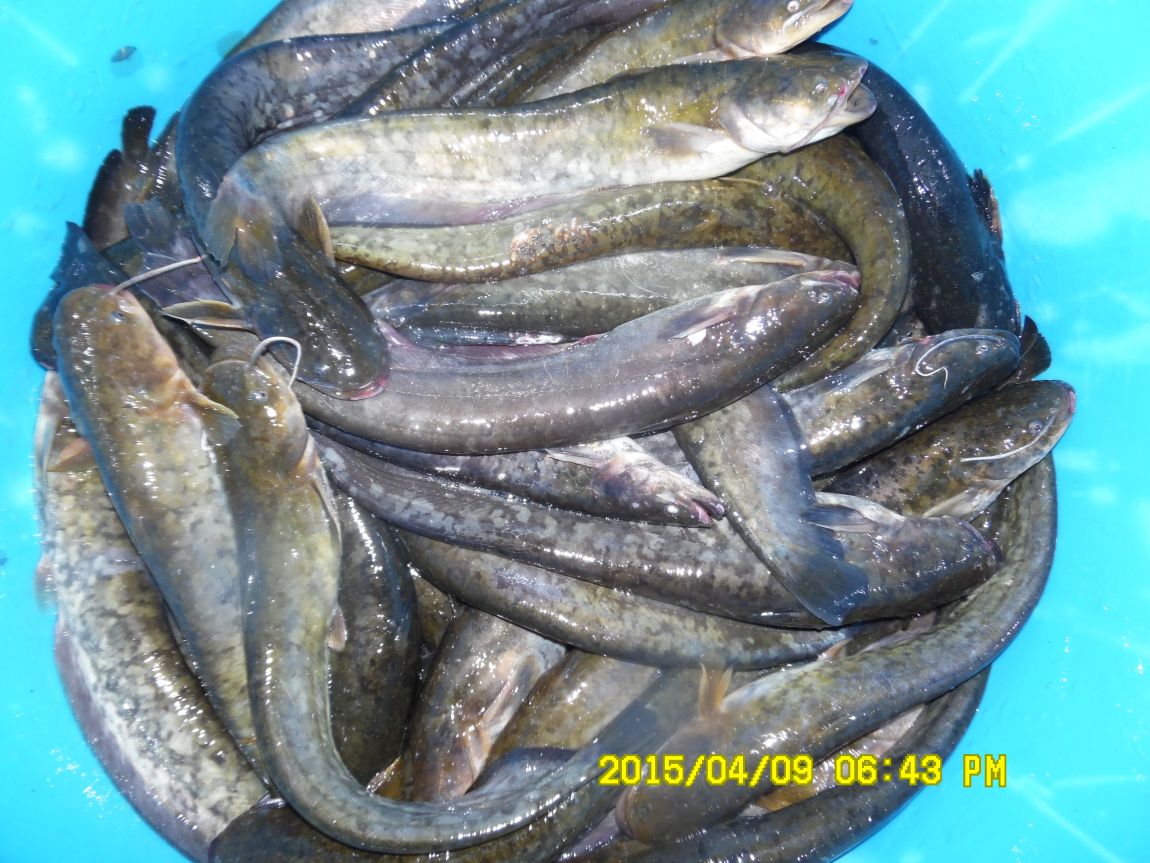 4��10�� ��Ȳ 012.JPG