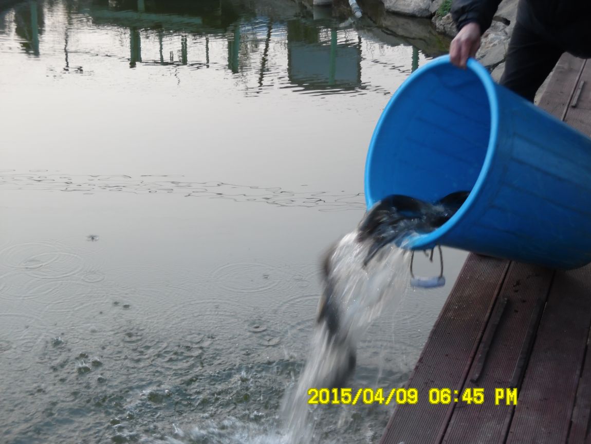 4��10�� ��Ȳ 015.JPG