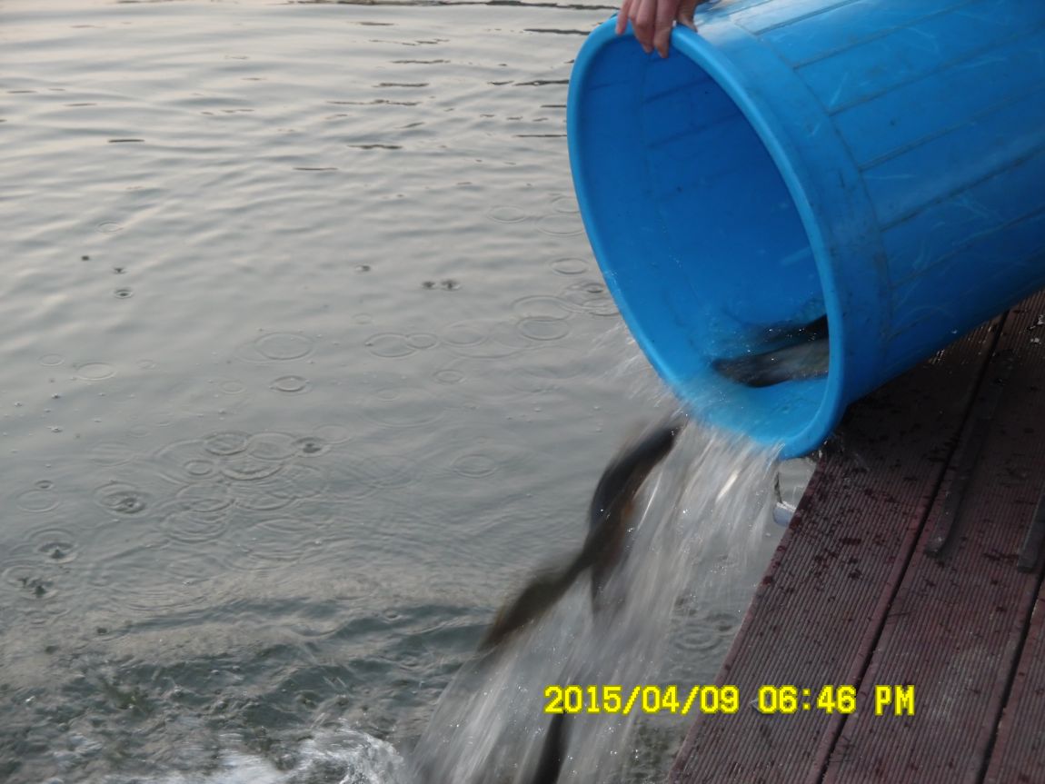 4��10�� ��Ȳ 016.JPG