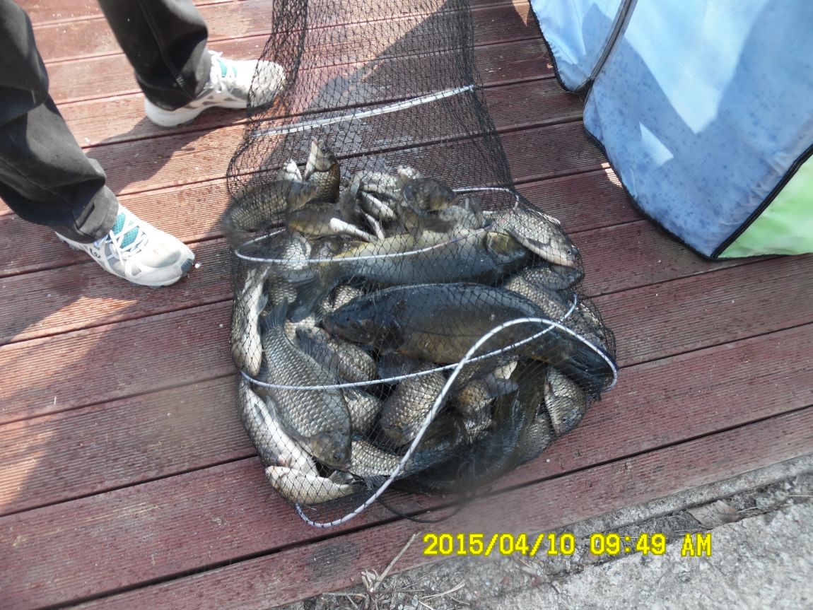 4��10�� ��Ȳ 019.JPG