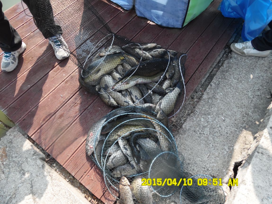 4��10�� ��Ȳ 022.JPG