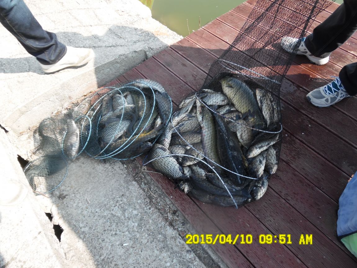 4��10�� ��Ȳ 024.JPG