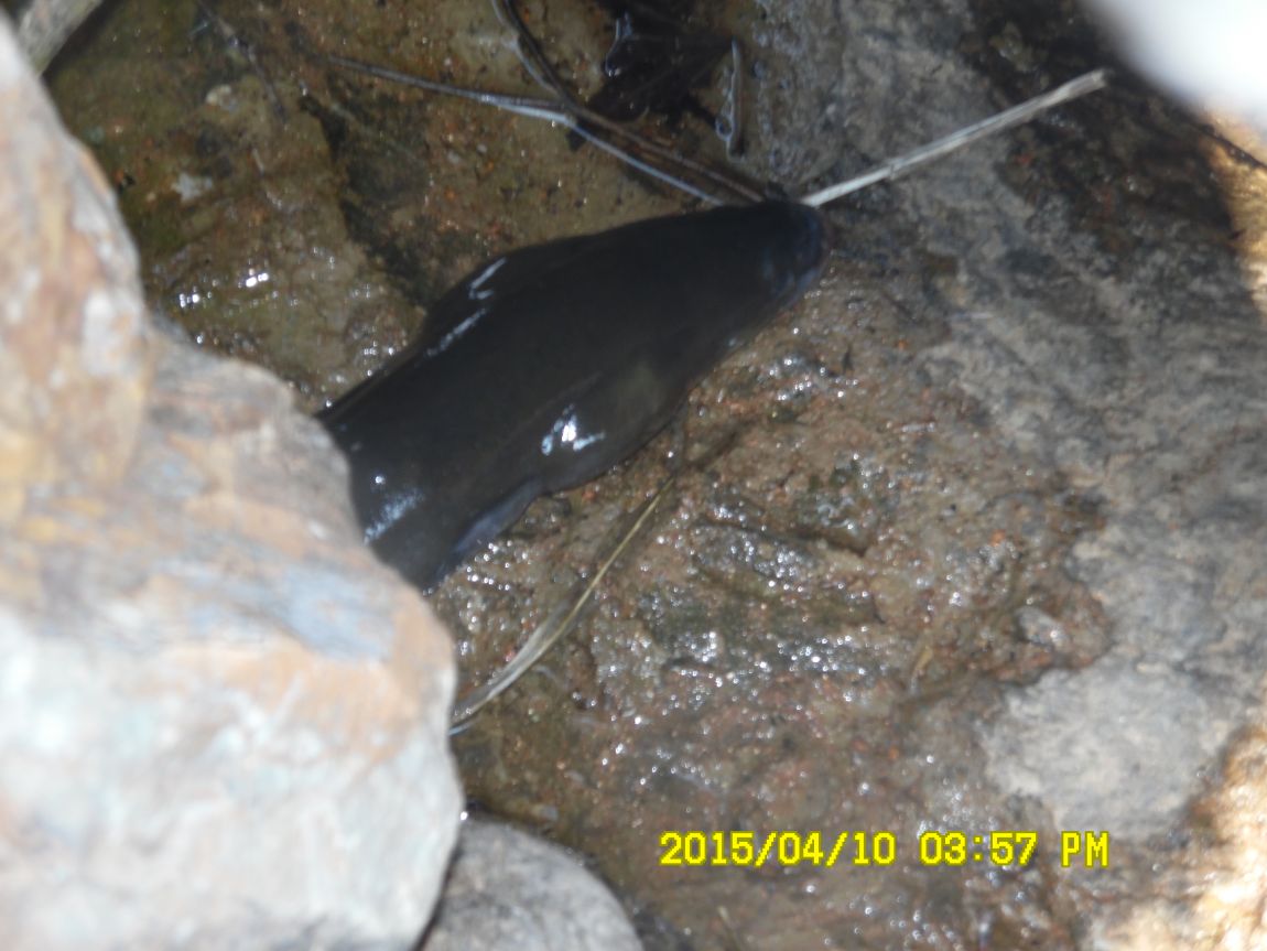 4��10�� ��Ȳ 027.JPG