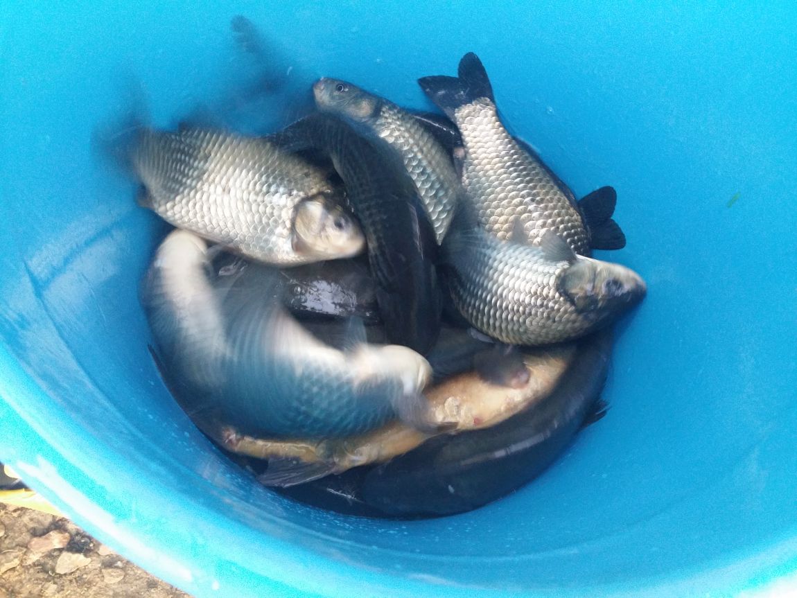 20150410_182903.jpg