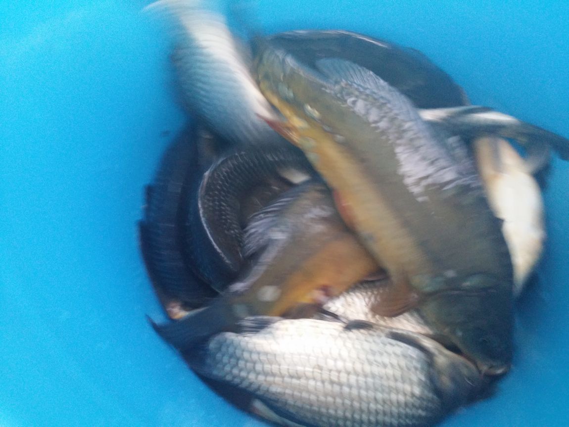 20150410_182924.jpg