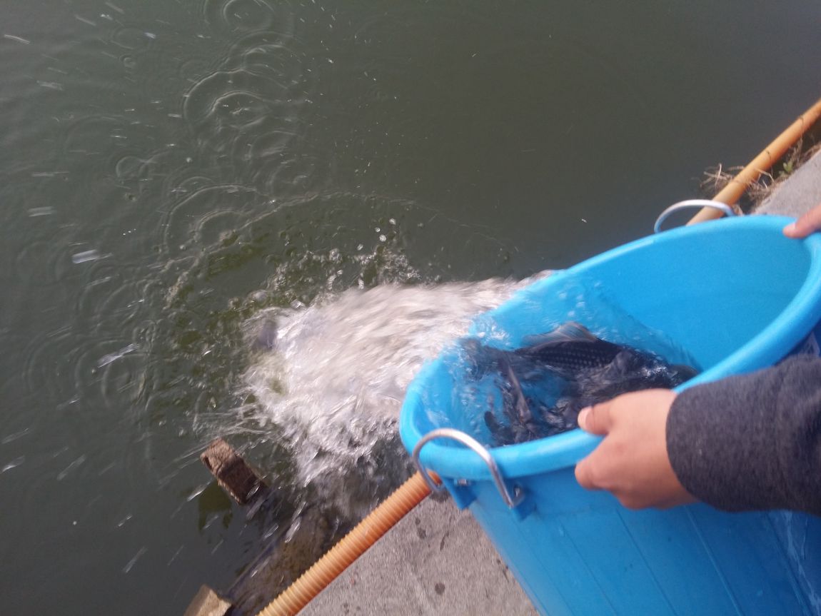 20150410_183557.jpg