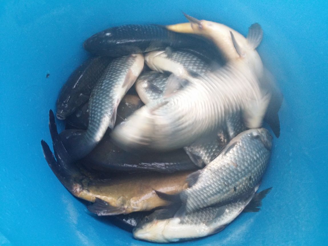 20150410_182911.jpg