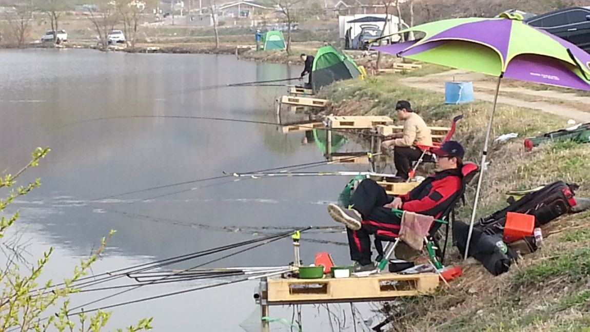 20150412_075040.jpg