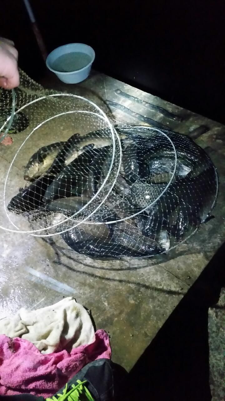 4��13�� ��Ȳ����.jpg