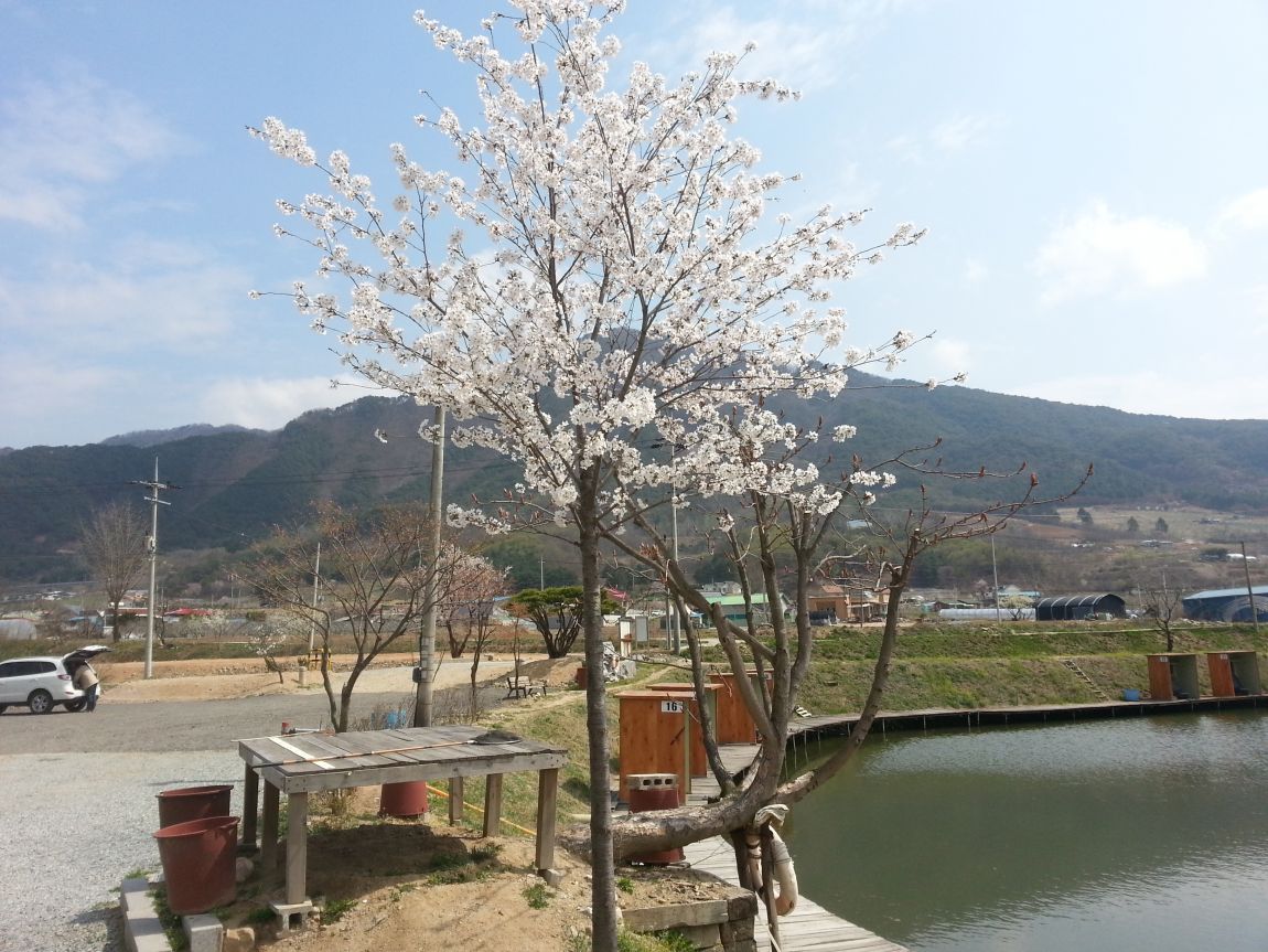 20150413_111126.jpg