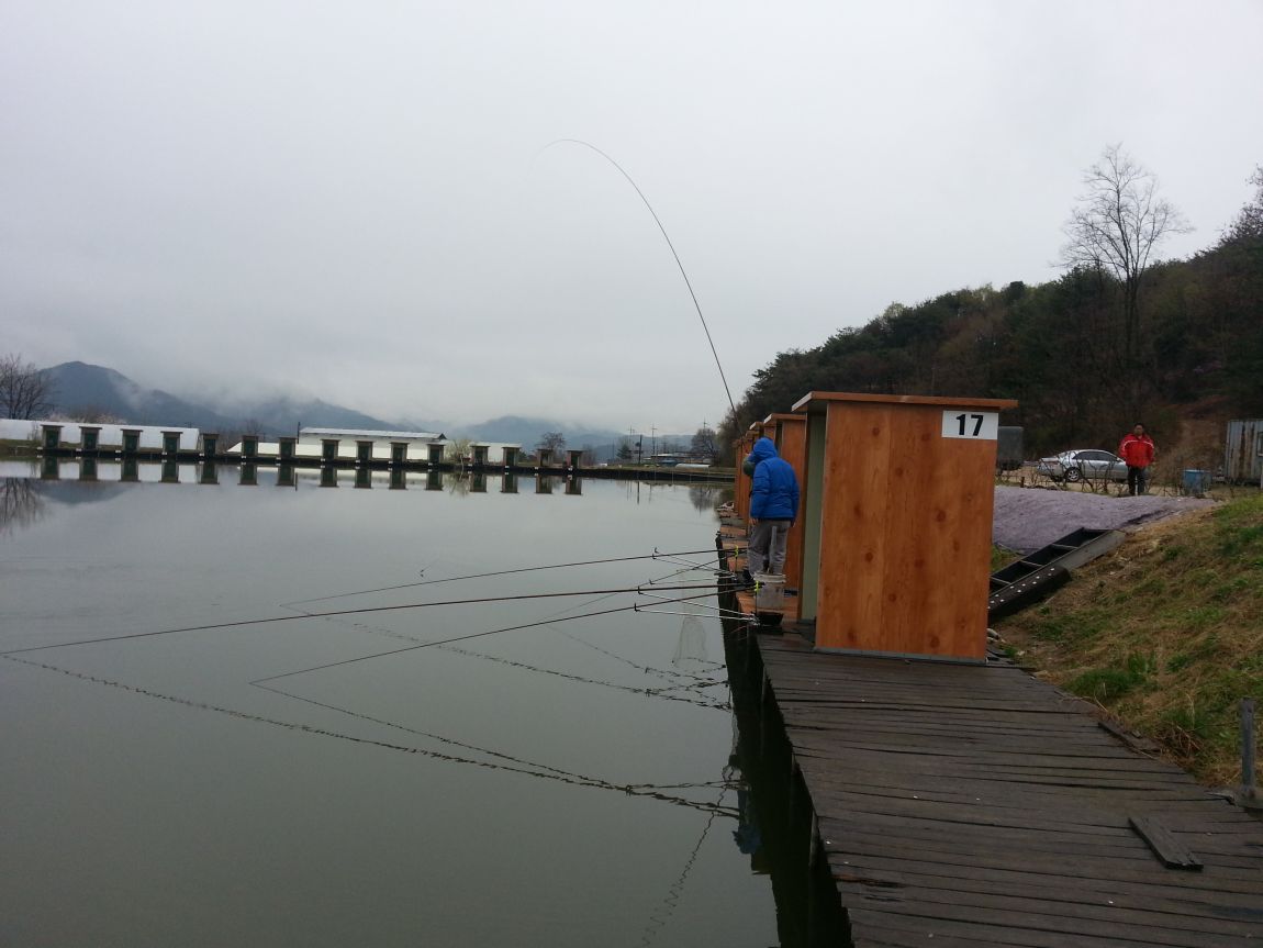 20150415_081637.jpg