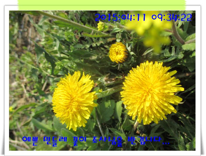 �ٹ̱�_IMG_0857.JPG
