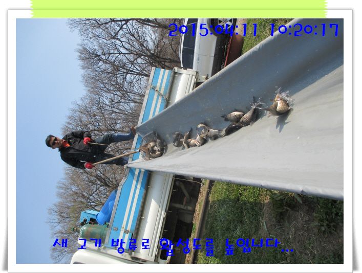 �ٹ̱�_IMG_0859.JPG