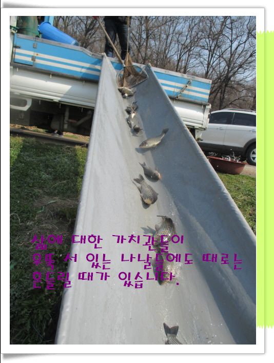 �ٹ̱�_IMG_0861.JPG