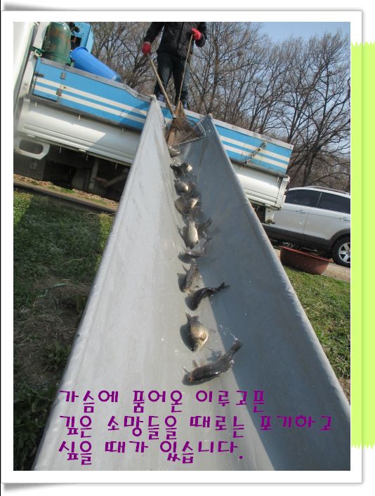 �ٹ̱�_IMG_0863.JPG