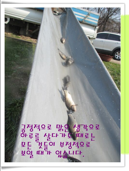�ٹ̱�_IMG_0865.JPG