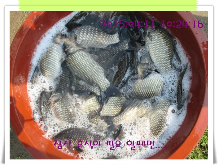 �ٹ̱�_IMG_0868.JPG