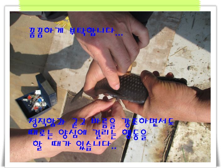 �ٹ̱�_IMG_0870.JPG