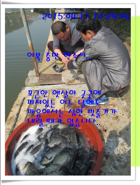 �ٹ̱�_IMG_0871.JPG