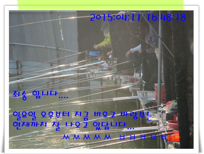 �ٹ̱�_IMG_0885.JPG