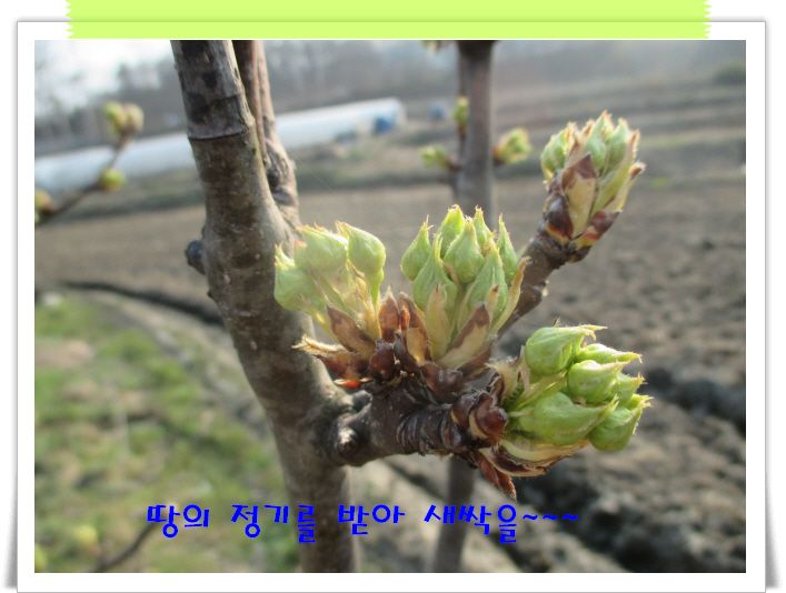 �ٹ̱�_IMG_0890.JPG