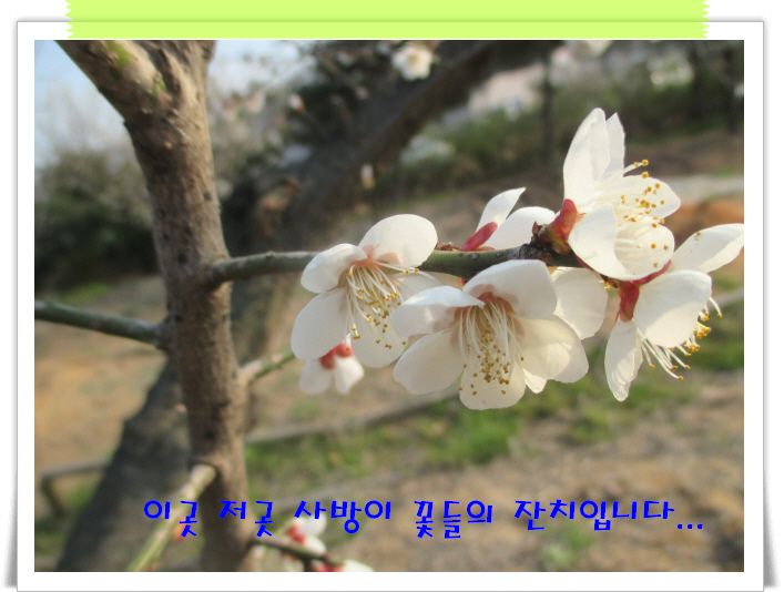 �ٹ̱�_IMG_0891.JPG