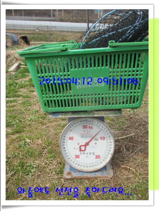 �ٹ̱�_IMG_0893.JPG