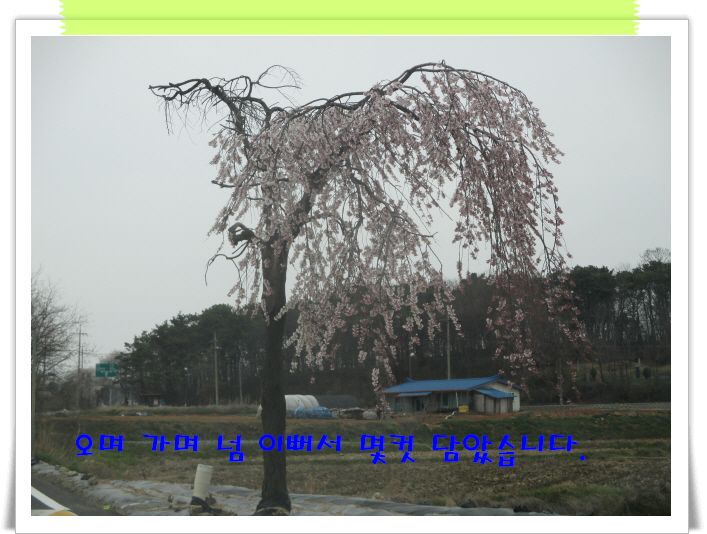 �ٹ̱�_IMG_0898.JPG