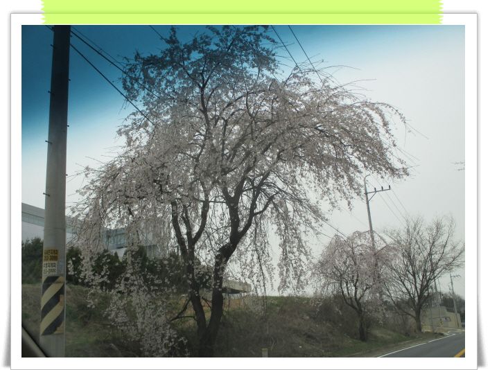 �ٹ̱�_IMG_0899.JPG